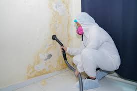 Why You Should Choose Our Mold Remediation Services in (206) 803-13630